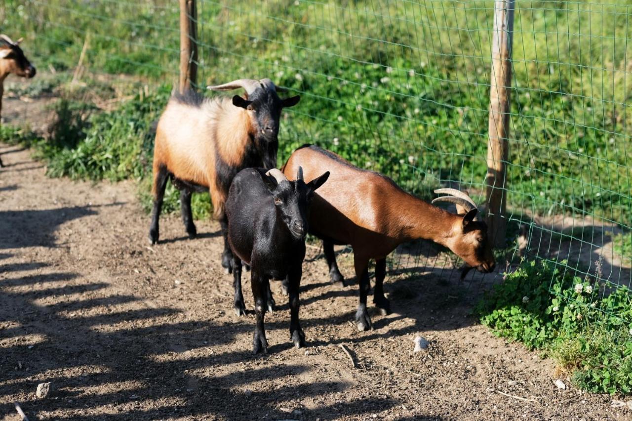 サント・ティルソ Aldeia Da Quinta Do Pacoヴィラ エクステリア 写真